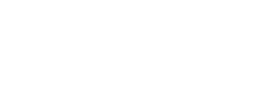 Accutive Security Logo